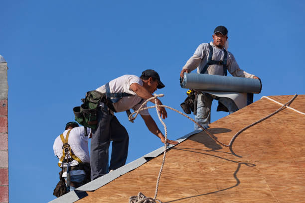 Best Emergency Roof Repair  in Davis Junction, IL