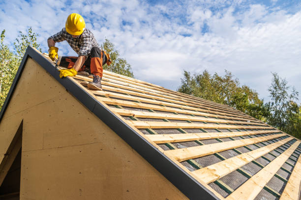 Best Slate Roofing Contractor  in Davis Junction, IL