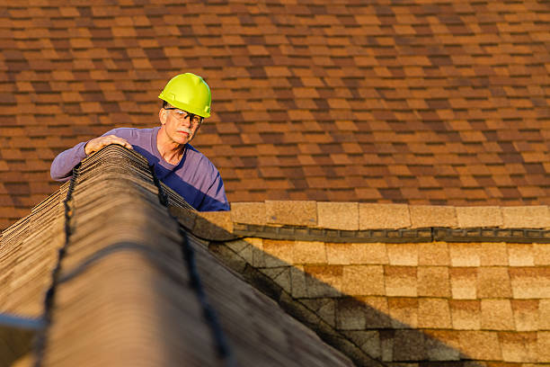 Best Roof Repair Specialists  in Davis Junction, IL