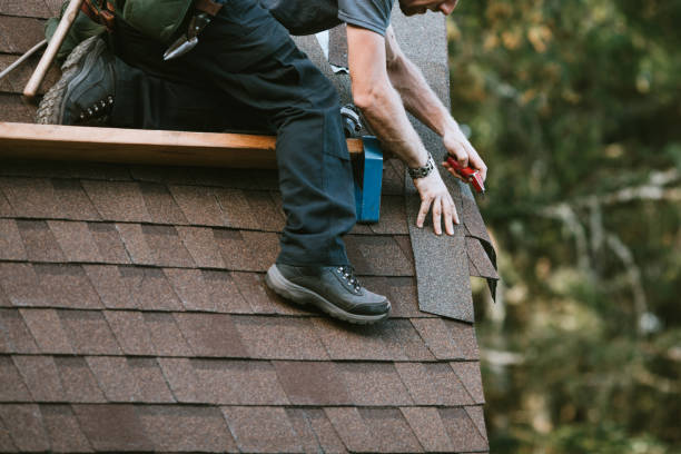 Best Affordable Roofing Company  in Davis Junction, IL