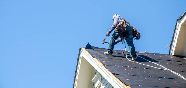 Best Roof Gutter Cleaning  in Davis Junction, IL